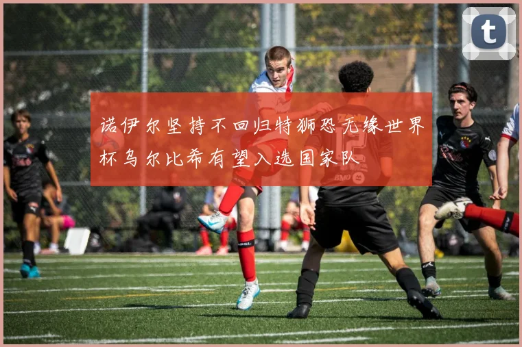 诺伊尔坚持不回归特狮恐无缘世界杯乌尔比希有望入选国家队