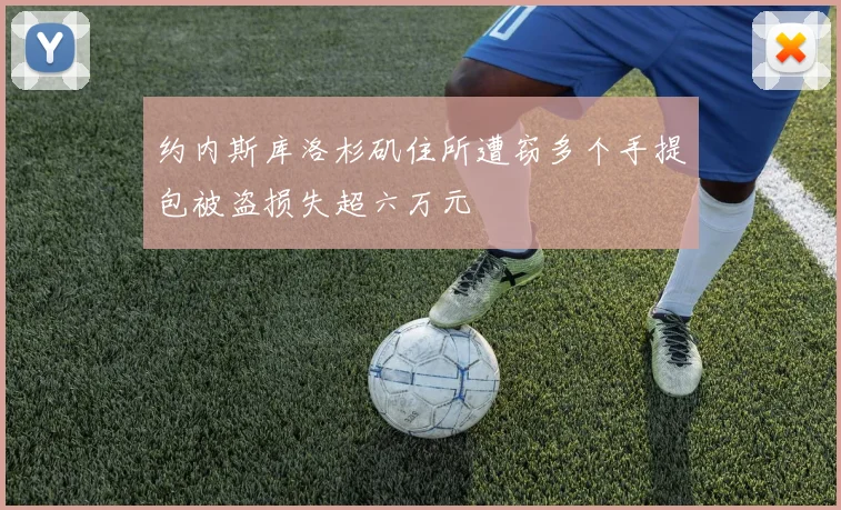 约内斯库洛杉矶住所遭窃多个手提包被盗损失超六万元