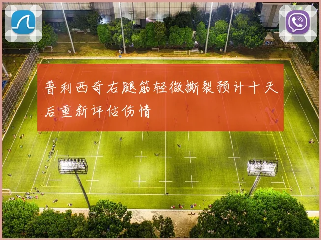 普利西奇右腿筋轻微撕裂预计十天后重新评估伤情