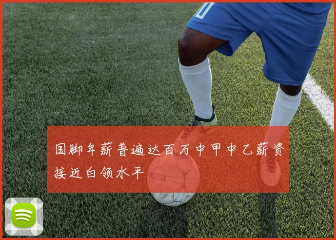 国脚年薪普遍达百万中甲中乙薪资接近白领水平