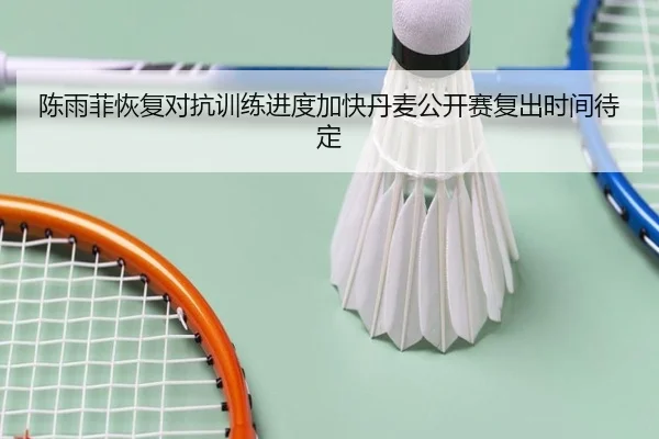 陈雨菲恢复对抗训练进度加快丹麦公开赛复出时间待定 - kaiyun