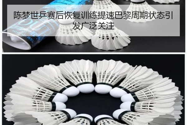 陈梦世乒赛后恢复训练提速巴黎周期状态引发广泛关注 - kaiyun